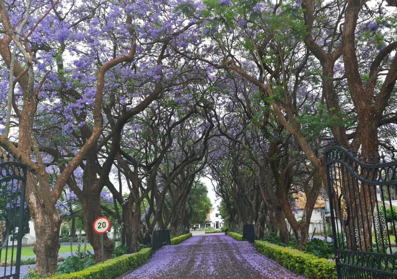 Pretoria-Noord 基厄维兹乡村庄园及水疗中心酒店 外观 照片